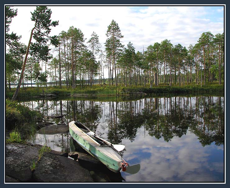 photo "In silent harbour" tags: landscape, forest, water