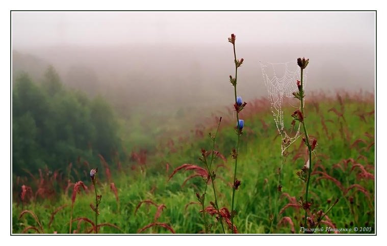 photo "Morning...." tags: landscape, summer, sunset