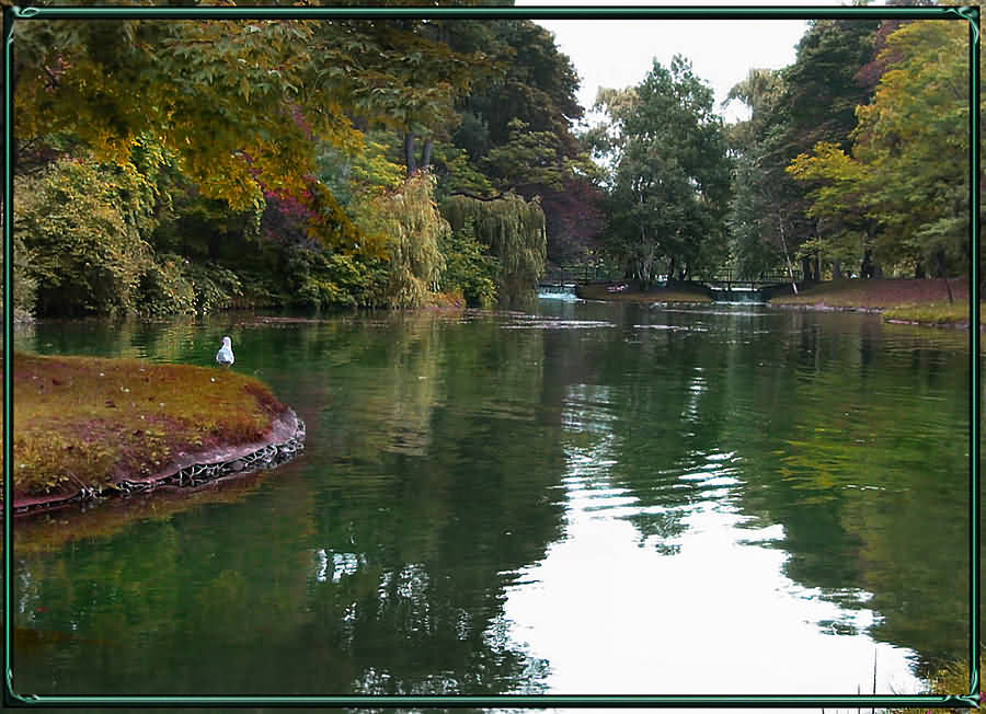 photo "***" tags: landscape, autumn