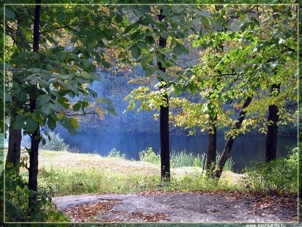 photo "Untitled photo" tags: landscape, autumn, forest