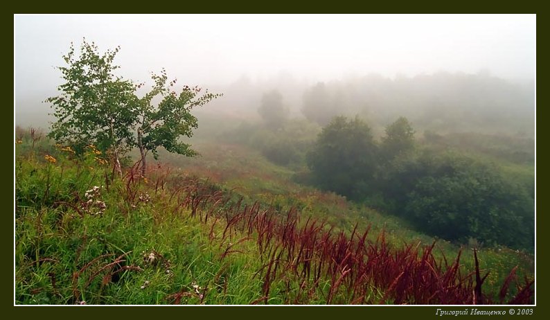 photo "Foggy #2" tags: landscape, summer, sunset