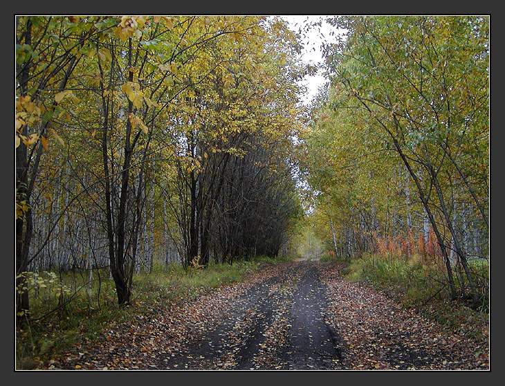 фото "Грустная..." метки: пейзаж, осень