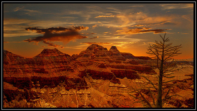 photo "grand canyon" tags: travel, North America