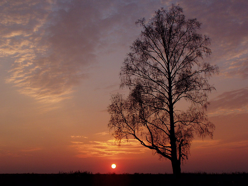 photo "Sad" tags: landscape, autumn, sunset