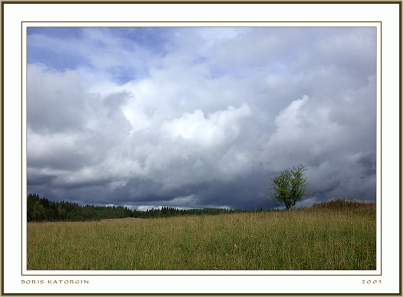 photo "The last witness" tags: landscape, autumn, clouds