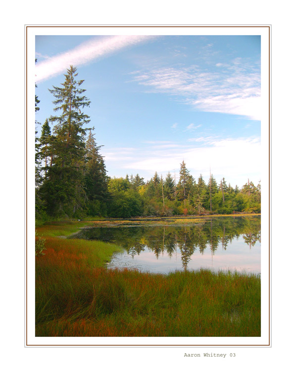 фото "Pond Corner" метки: пейзаж, вода, лес