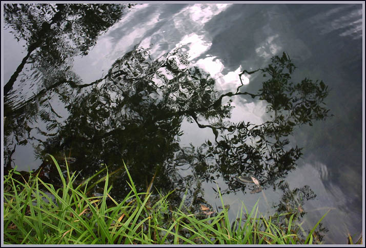 photo "Reflection & Moving" tags: landscape, autumn, water