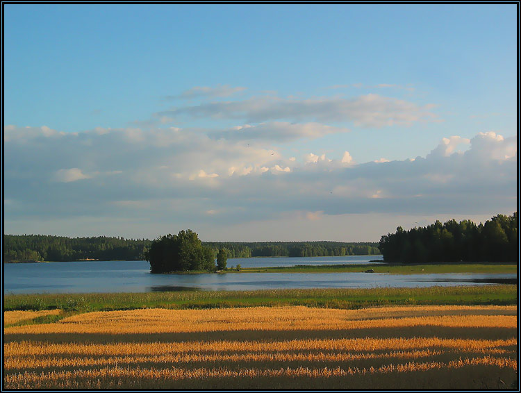 photo "Lines" tags: landscape, summer, water
