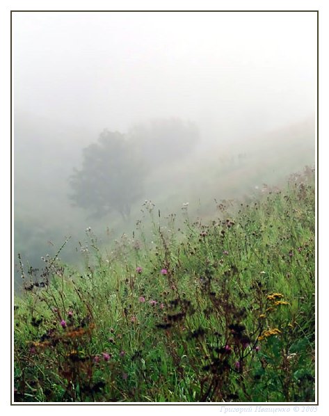 photo "Foggy prospect" tags: landscape, autumn, sunset
