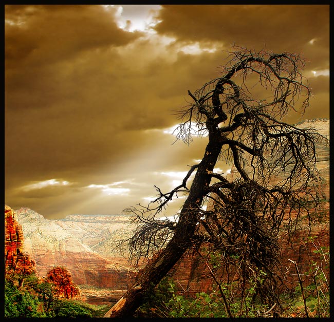 photo "Zion" tags: landscape, mountains