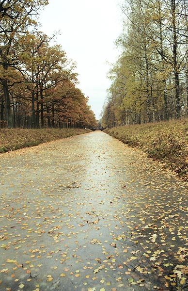 фото "Осень во льду" метки: пейзаж, осень