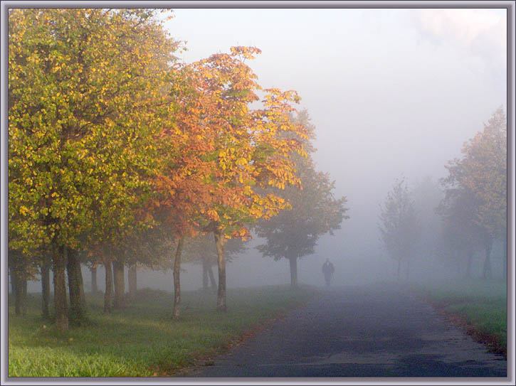 photo "The Autumn. Foggy." tags: nature, landscape, autumn