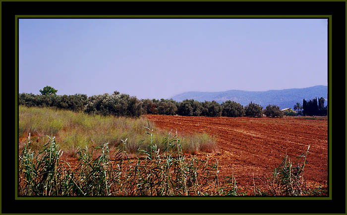 photo "Untitled photo" tags: landscape, nature, autumn