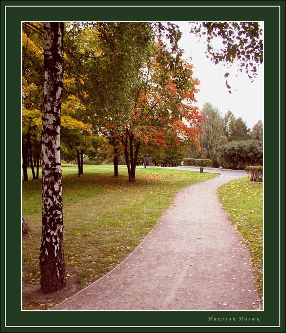 photo "Autumn motive" tags: landscape, autumn