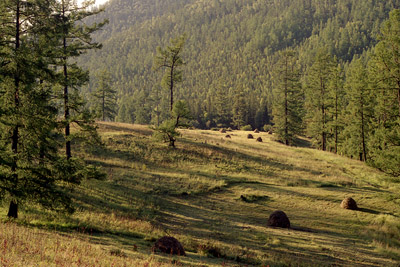 photo "Mowing in mountains." tags: landscape, nature, mountains