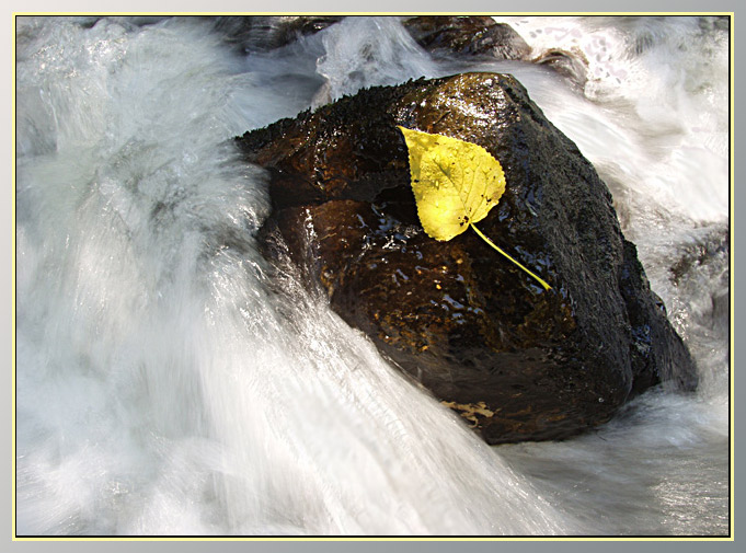 photo "Prisoner on the rock" tags: nature, 