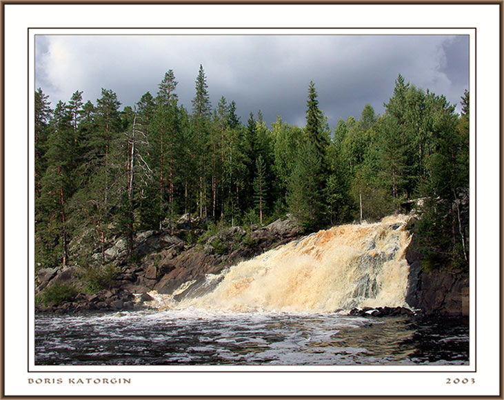 photo "Dipping water" tags: landscape, forest, water