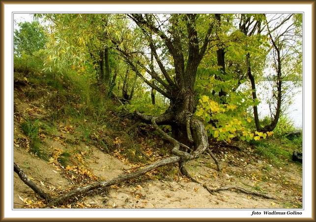 photo "Untitled photo" tags: landscape, nature, autumn