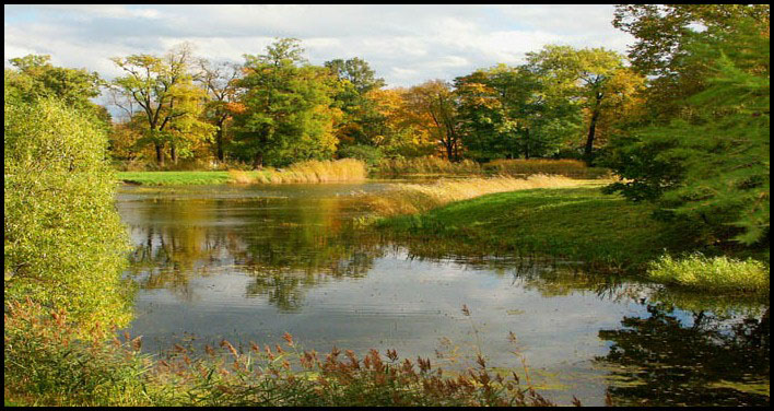 фото "Осенние кадры-2" метки: пейзаж, осень