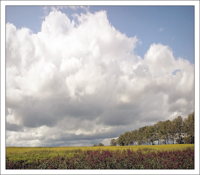 photo "Open spaces" tags: landscape, clouds