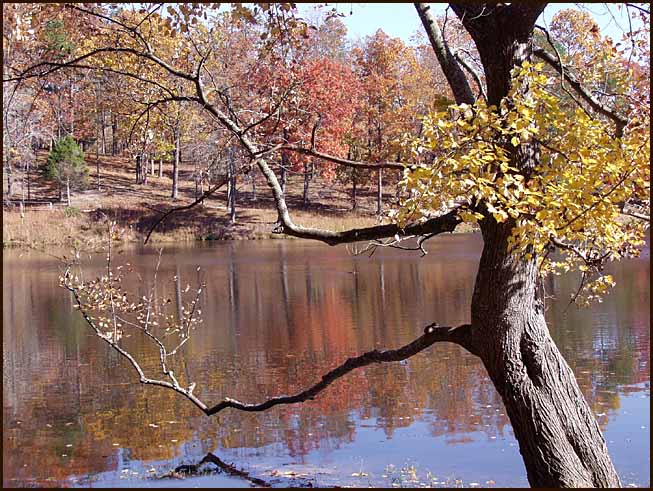 photo "Touches of Autumn" tags: landscape, autumn, water