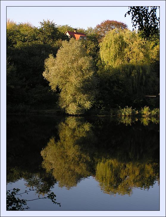 фото "озеро" метки: пейзаж, вода, осень