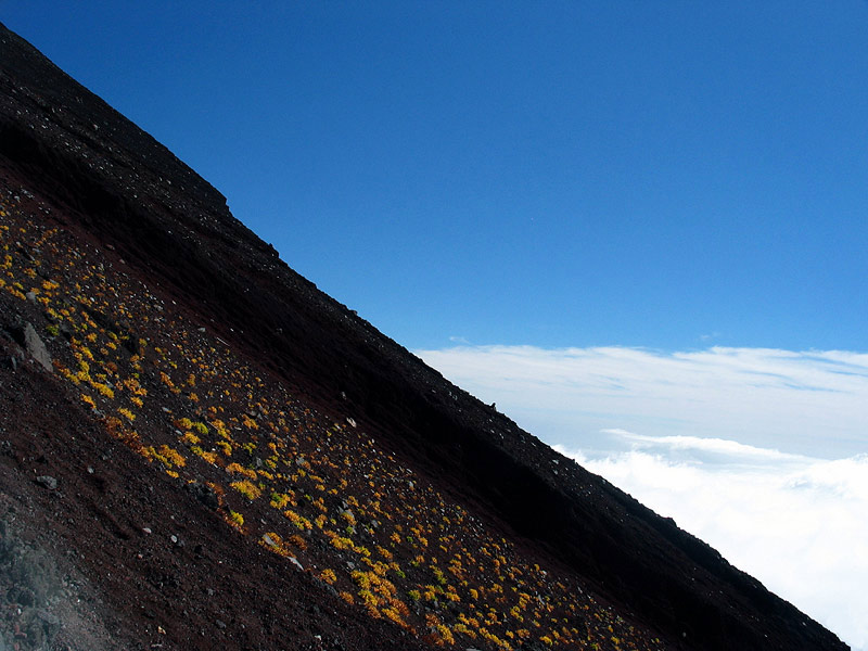 photo "The Ascent" tags: landscape, abstract, mountains