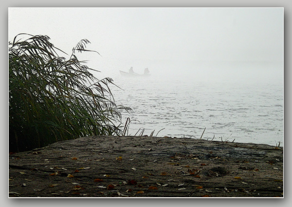 photo "the shades" tags: misc., 