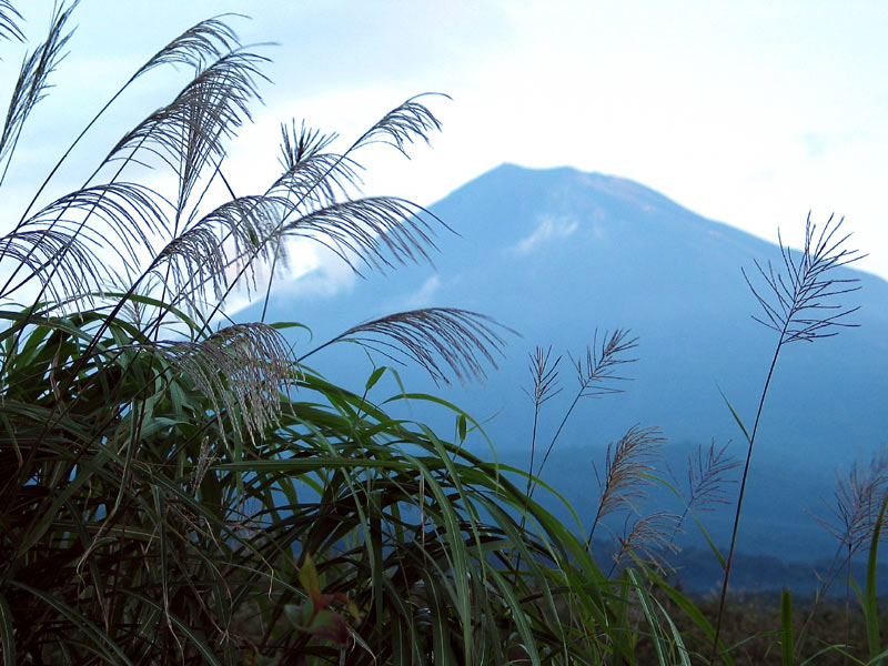 photo "Morning Grass" tags: landscape, travel, Asia, mountains