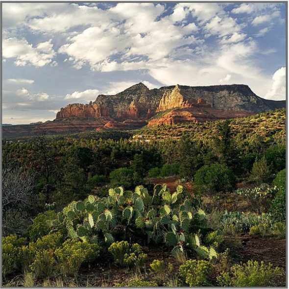 photo "Cactus Light" tags: landscape, mountains