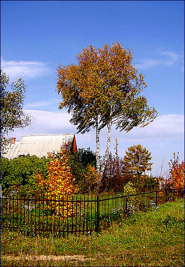 фото "Ветерок" метки: пейзаж, природа, осень