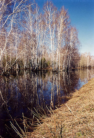 фото "Зеркало" метки: пейзаж, весна