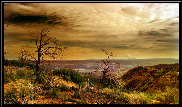 photo "Mesa Verde" tags: misc., 