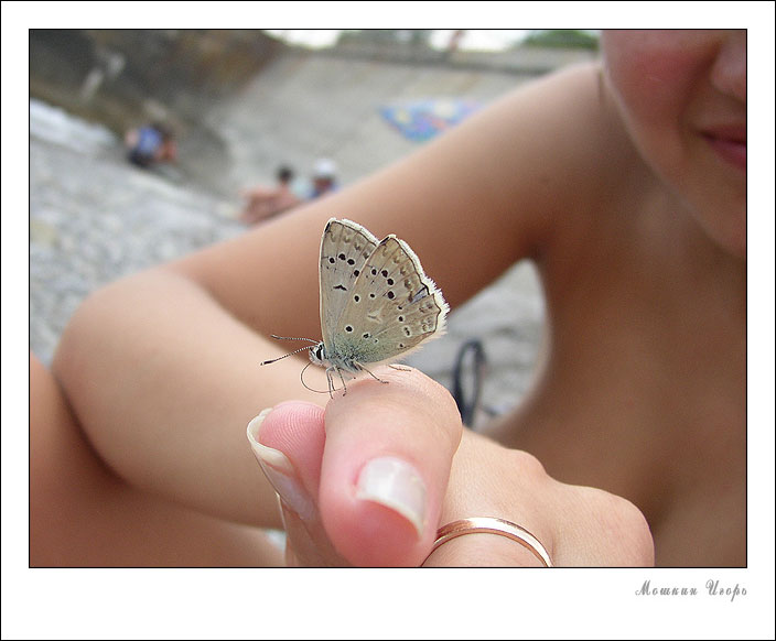 photo "The butterfly" tags: nature, insect