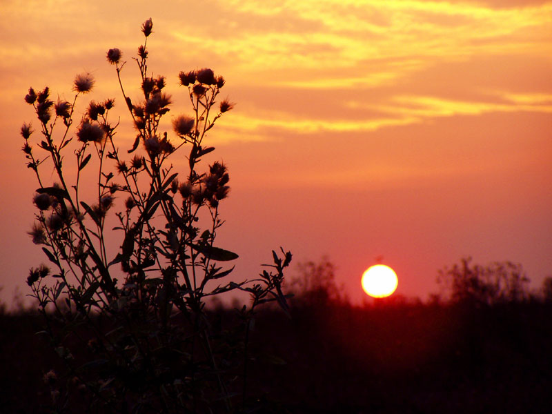 photo "***" tags: landscape, autumn, sunset