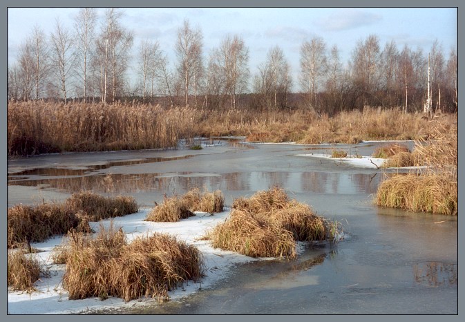 photo "Swamps of Yauza / Losiniy Ostrov" tags: landscape, autumn, water