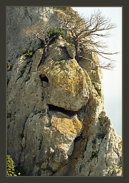 photo "Crimea dinosaurus" tags: landscape, mountains