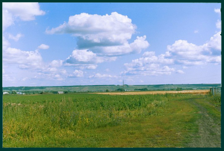 фото "Поле" метки: пейзаж, лето, облака