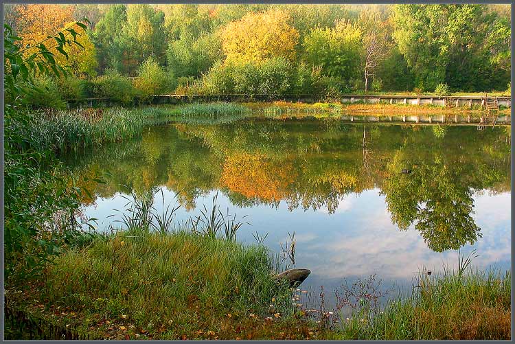 photo "Pond Abandoned" tags: landscape, autumn, water