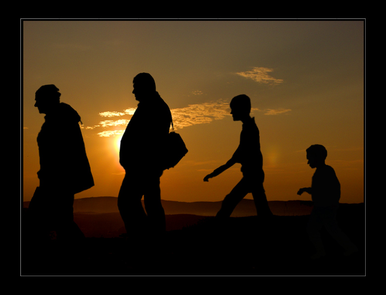 photo "Evolution?" tags: genre, misc., 