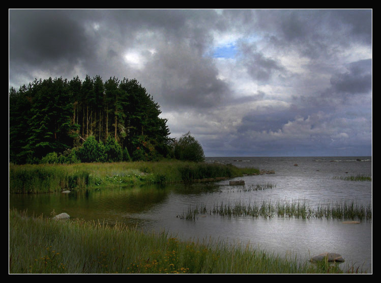 photo "Coastal coppice (variant)" tags: landscape, clouds, forest