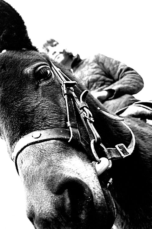 photo "*****" tags: genre, portrait, 