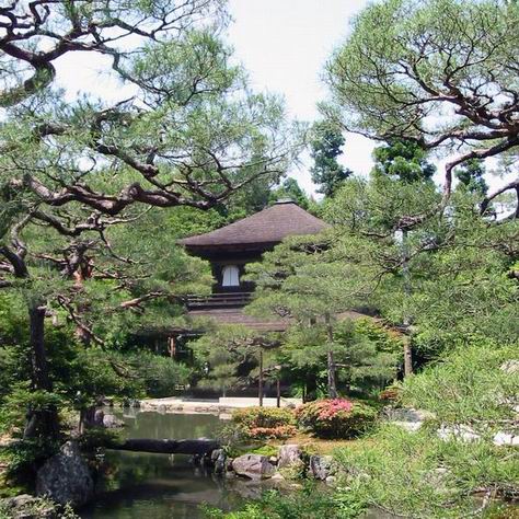 photo "Ginkakuji temple" tags: travel, nature, Asia, flowers