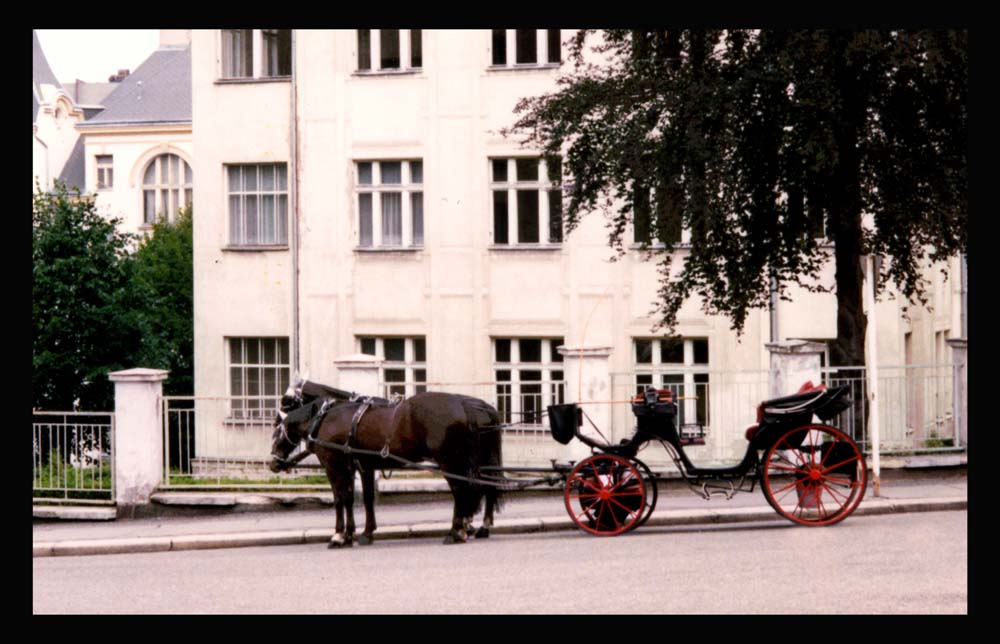 фото "Waiting" метки: разное, 