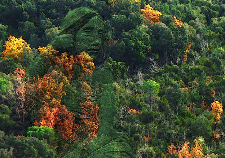 фото "Dama del Bosc" метки: разное, 