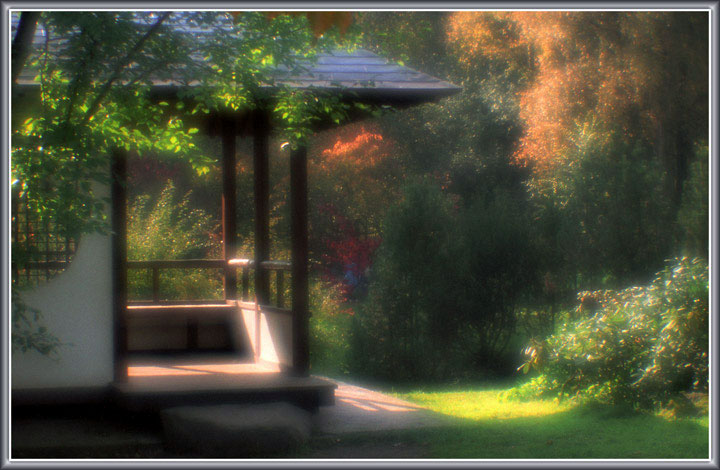 photo "Place for meditation" tags: landscape, autumn, forest