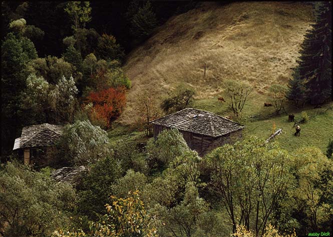 photo "the rest neighbourhood" tags: landscape, autumn, forest