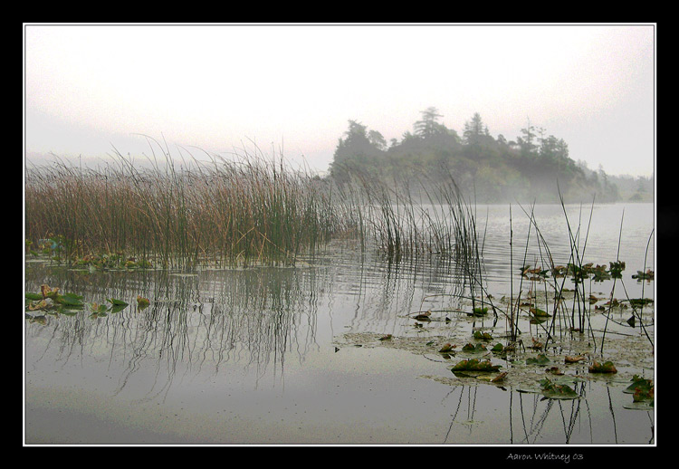 фото "Foggy lake 4237" метки: пейзаж, вода, осень