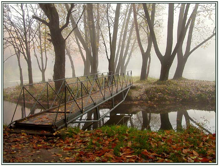фото "А на том берегу туман..." метки: пейзаж, осень