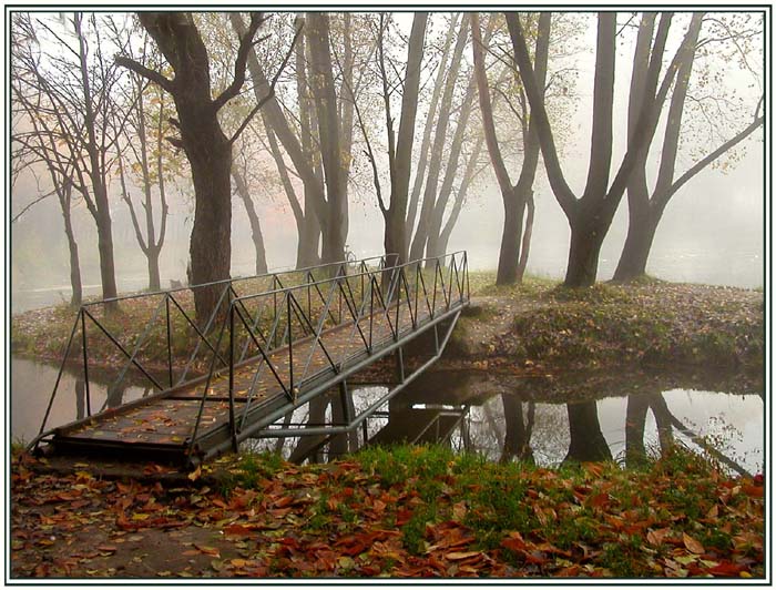 photo "Autumn coast" tags: landscape, autumn